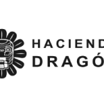 H Dragon